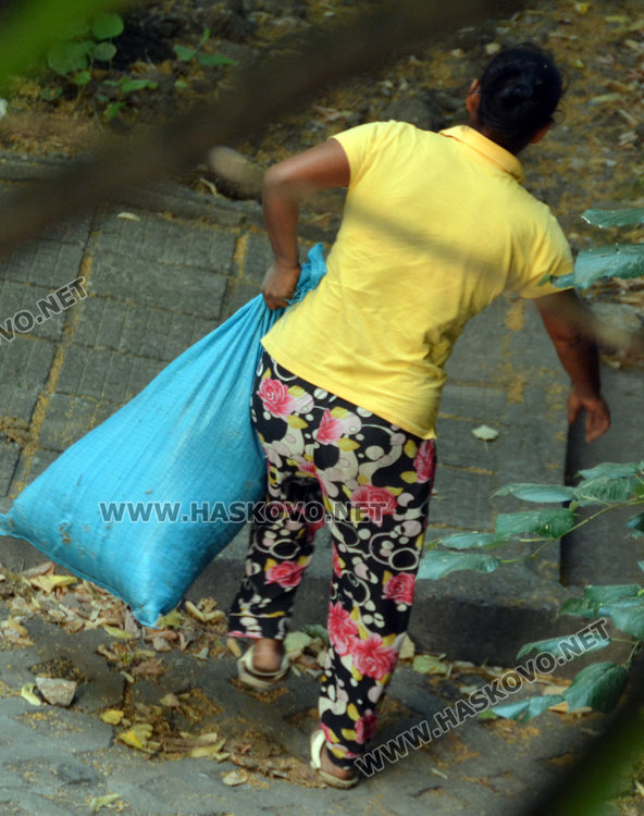 Продължават да метат липов цвят от улиците, бил за козметика, не за чай