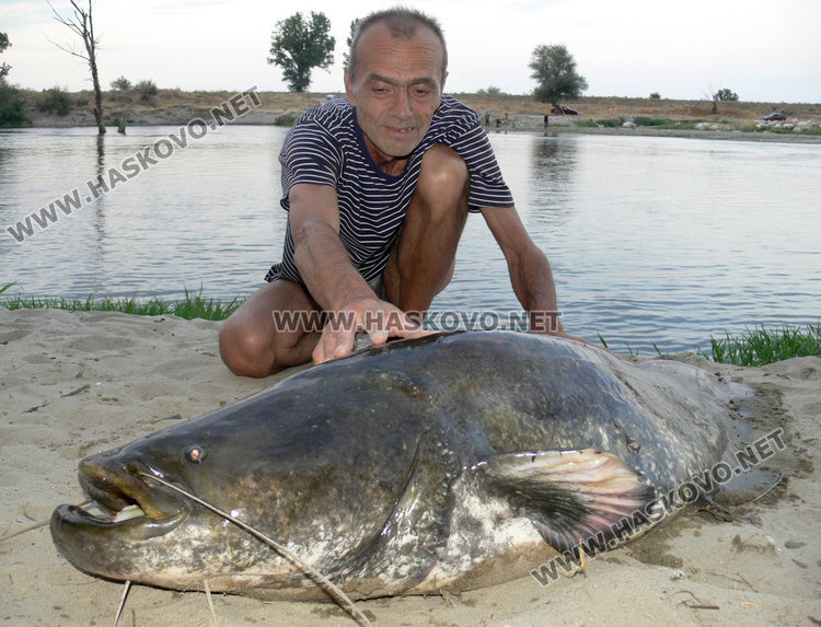 Щерю Щерев до 50-килограмовия сом