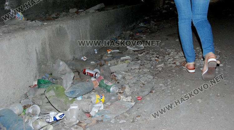 Подлез край Хасково превърнат в змиярник, оказа се ничий