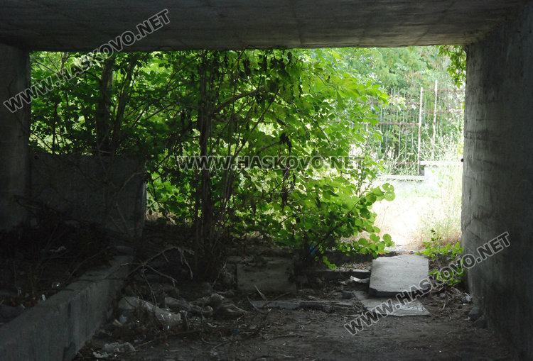 Подлез край Хасково превърнат в змиярник, оказа се ничий