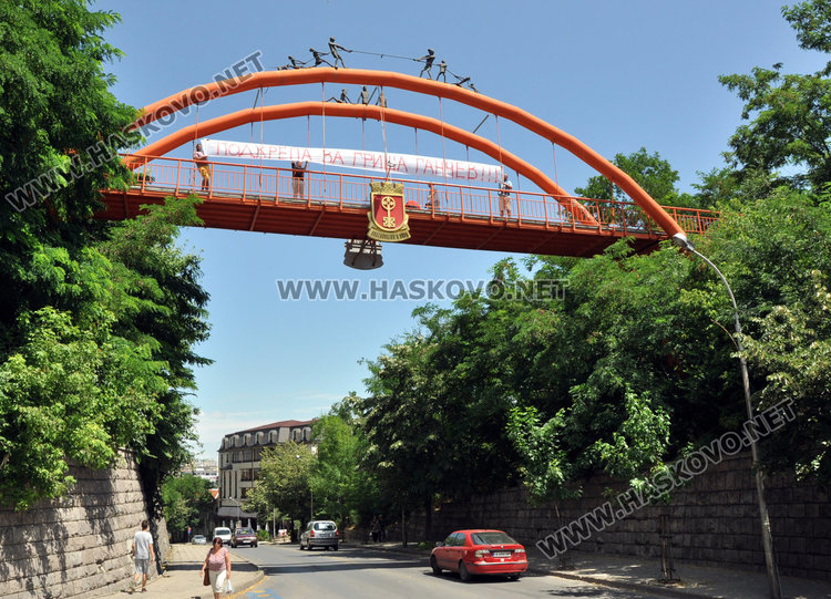 Червен екзекутор от Хасково тръгва с трактор за София 