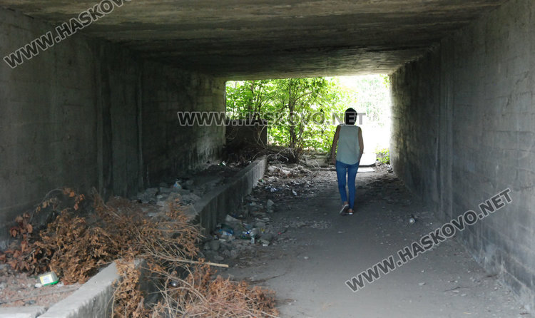 Подлез край Хасково превърнат в змиярник, оказа се ничий