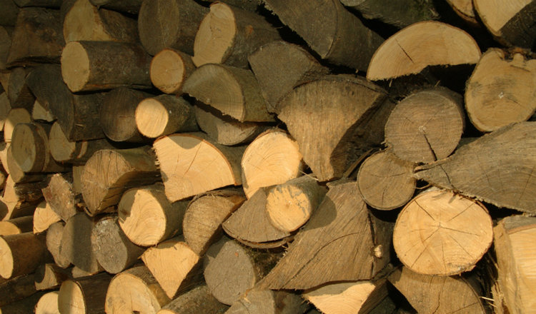 Започва приемането на молби за парична помощ за отопление