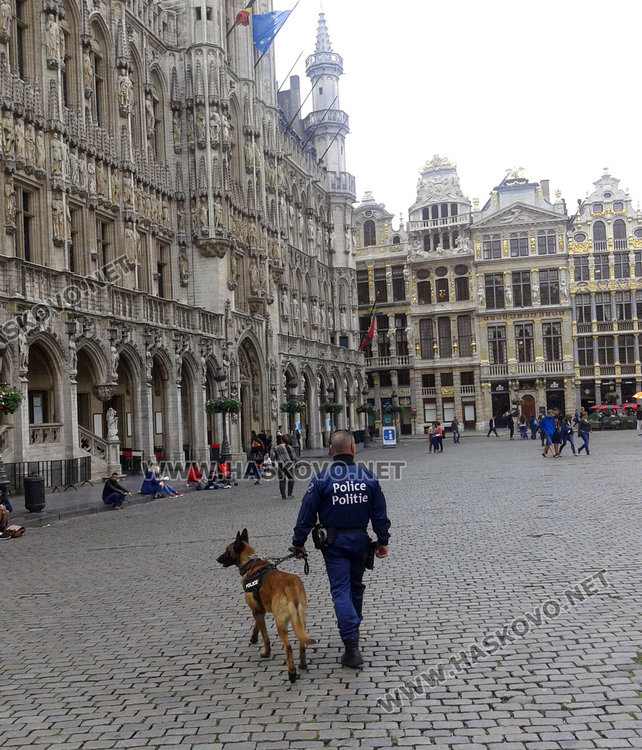 Три месеца след атентатите в Брюксел - фалити и спад на оборота в търговските обекти