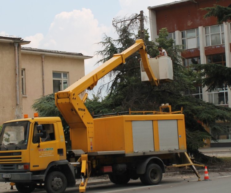 Санитарна сеч окастри бор на бул."Раковски"