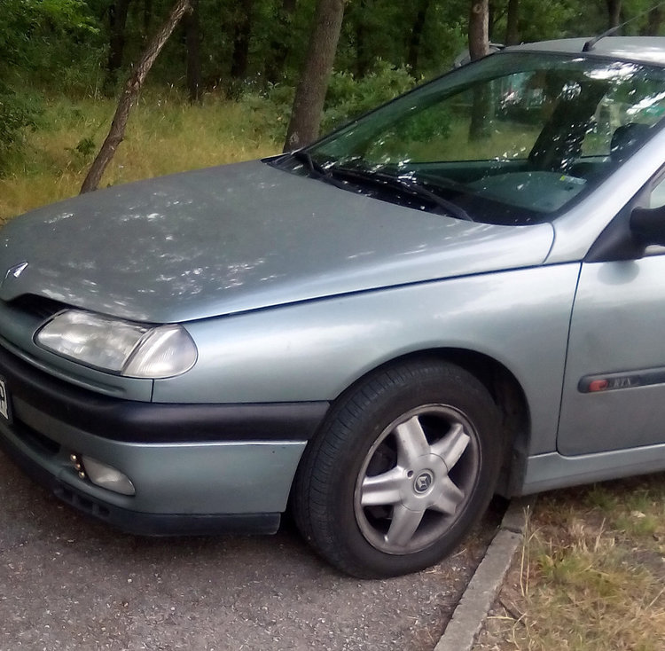 Наглец паркира на алеята за кучета в Кенана