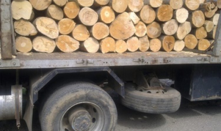 Прокурорска хайка по пътищата! В област Кърджали само 1 нарушение