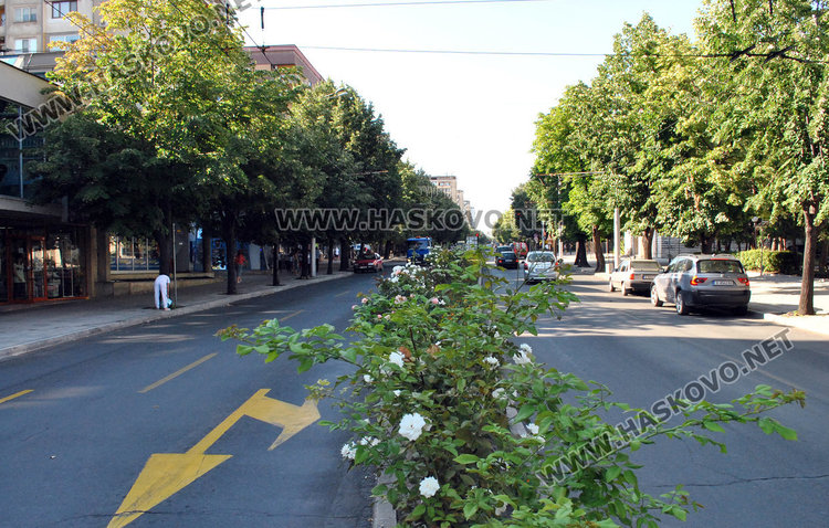 До 15 септември: опасват с камери бул. “Раковски“ заради джигитите