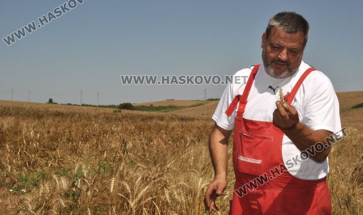 Brexit удари хасковските земеделци