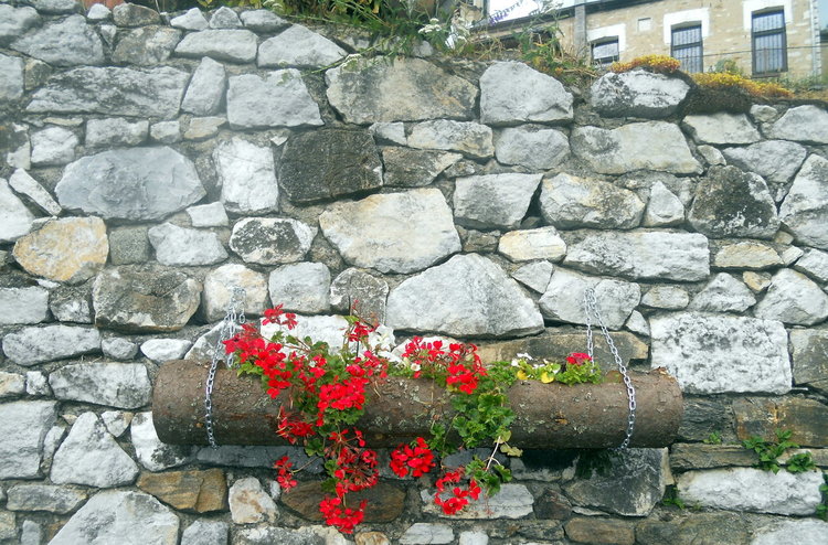 Хората от Проглед разкрасяват селото, местната управа помага