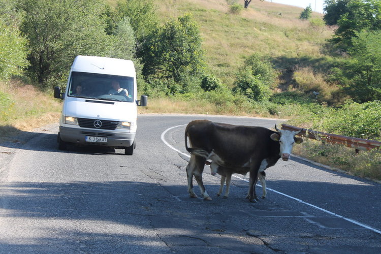 Нова опасност на пътя! Дори и спирачките не помагат!