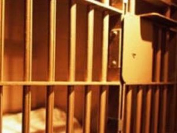 5 дни арест за хулиган, замерил бус със саксия