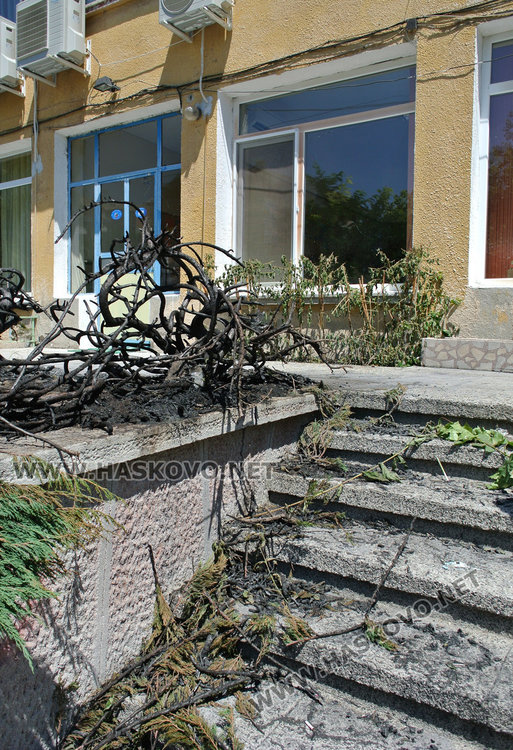 Подпалиха забавачка, два екипа пожарникари гасят пламъците