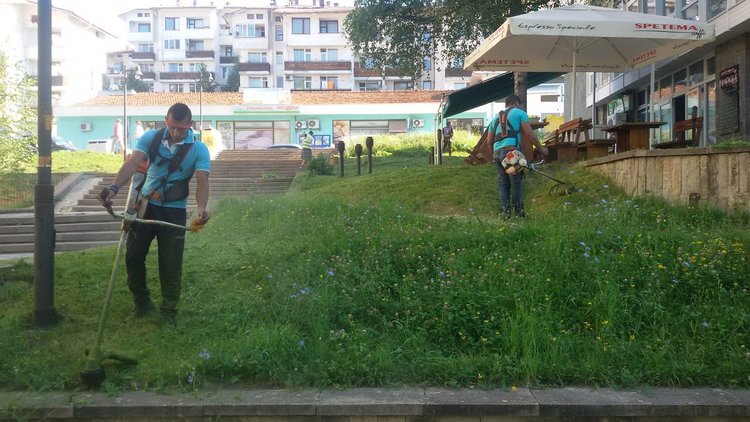 Всички централни градски части и около 10 детски площадки са окосени втори път