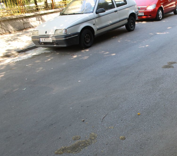 Читателка ни подаде днес сигнал за замърсяване с животински изпражнения на ул."Анри Барбюс" №1