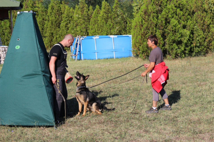 Деца от киноложките клубове гледаха как се обучават кучета