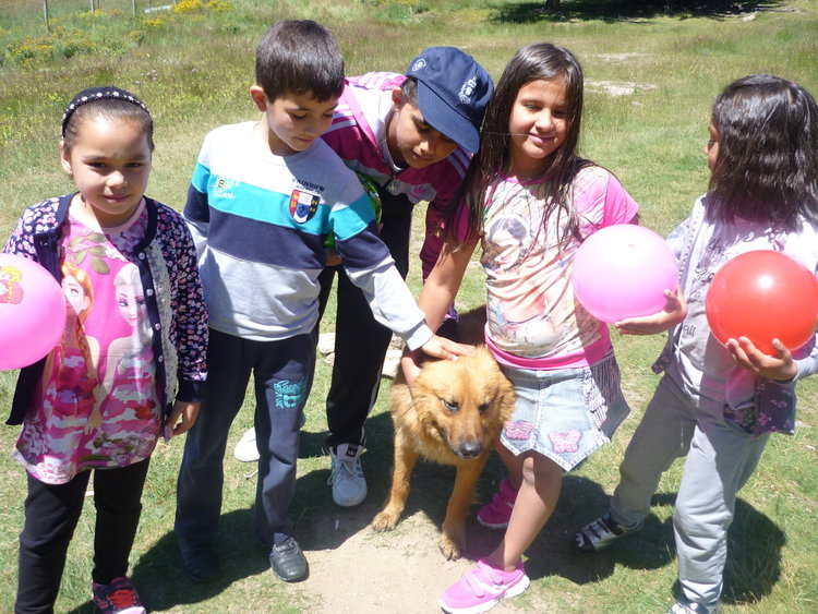 Над 80 деца с увреждания и родители се включиха в празника на открито край Смолянските езера