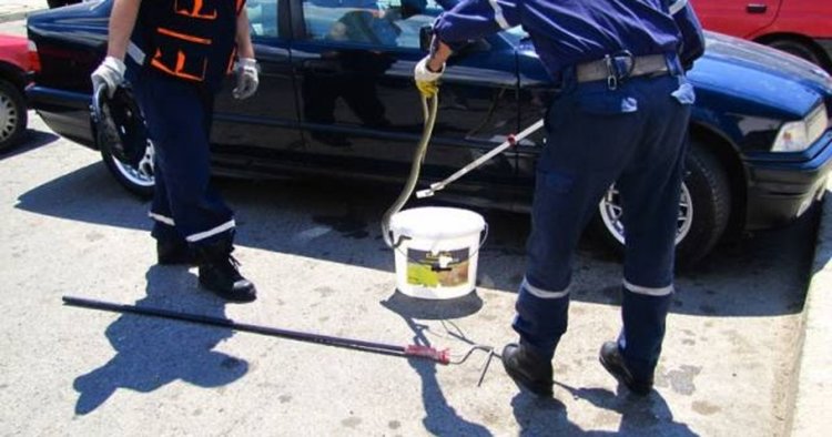 Пореден сигнал за змия в гараж в Смолян