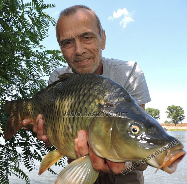 Джентълменът Щерев върна в Марица два огромни шарана, били женски