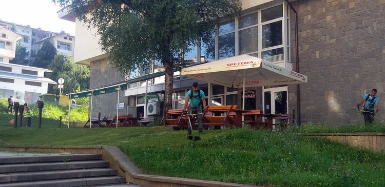 Пръскат срещу кърлежи и бълхи в Смолян до 19 юли