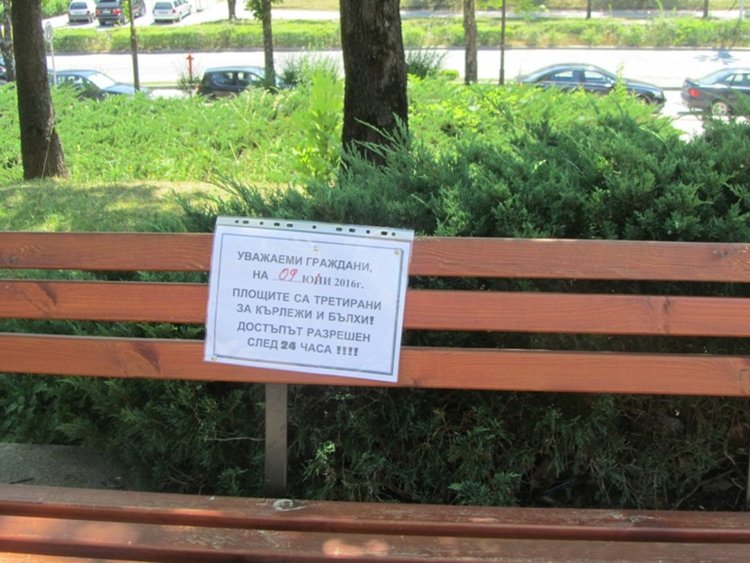 Пръскат срещу кърлежи и бълхи в Смолян до 19 юли