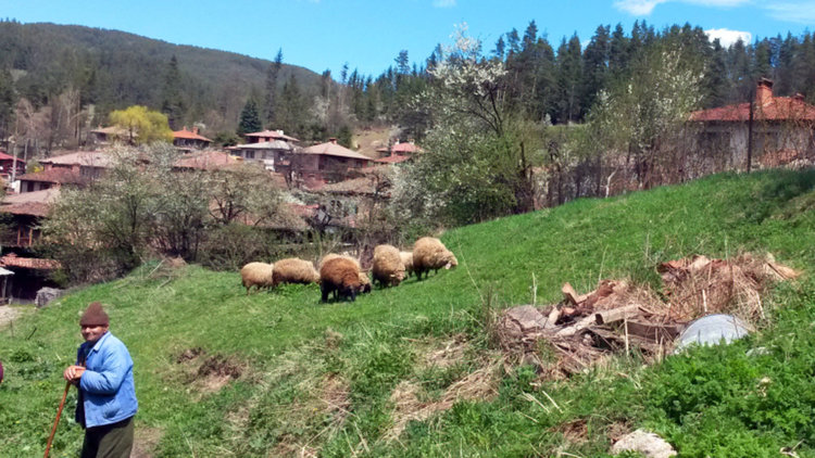 Кабинетът осигури хляба за планинските села с малко над 700 хил. лв.