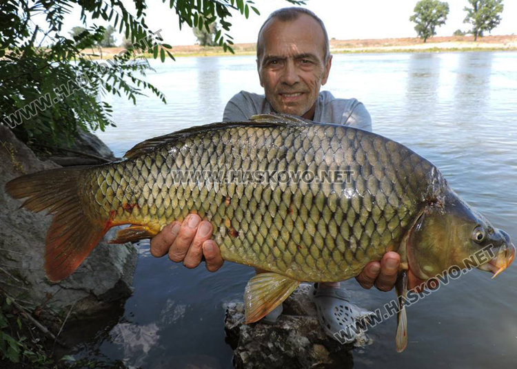 богатата вечеря за 6 души