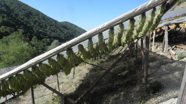 Още една фирма ще обработва тютюн промишлено