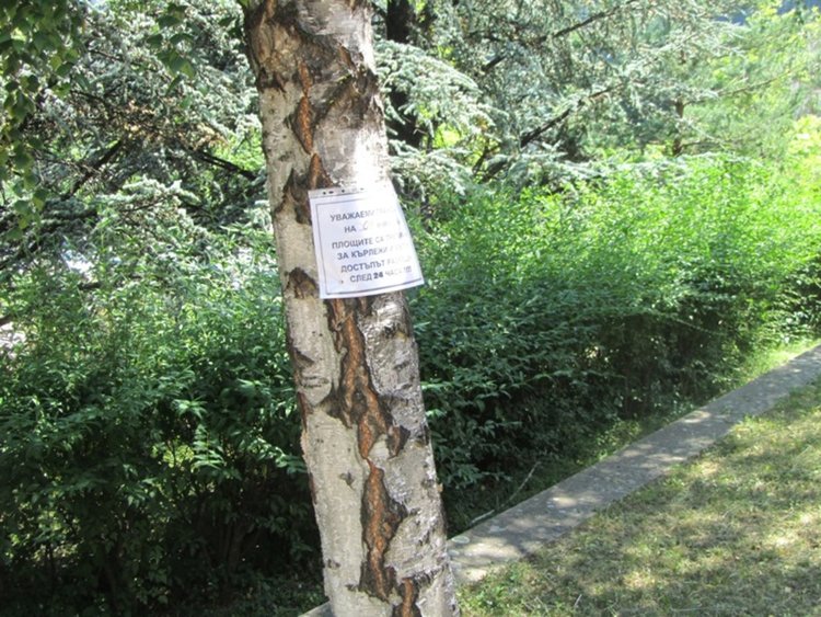 Пръскат срещу кърлежи и бълхи в Смолян до 19 юли