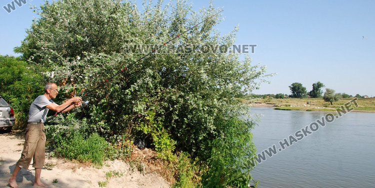 Джентълменът Щерев върна в Марица два огромни шарана, били женски