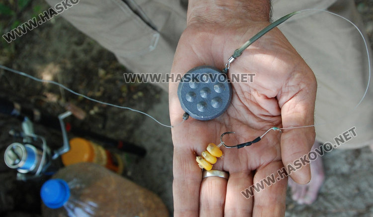 Джентълменът Щерев върна в Марица два огромни шарана, били женски