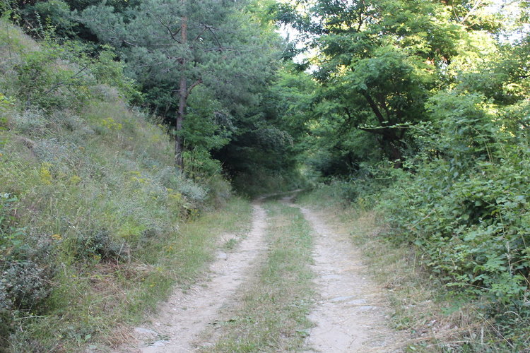 Ресми Мурад проведе поредната си изнесена кметска среща в полите на връх „Алада”