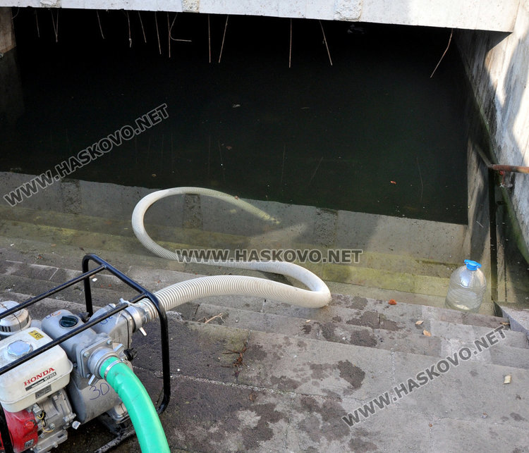 Пак зарибиха подлеза до гарата, вадили лакът щука