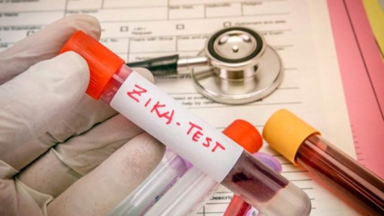 Мира Кожухарова: Европа не е застрахована от зика