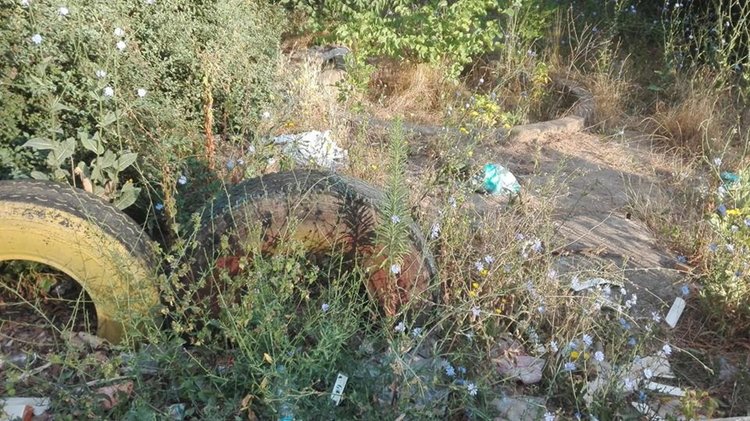 Дворът преди акцията на тукашна комунална фирма