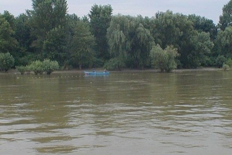 Откриха удавени изчезналите в Дунав млади мъже