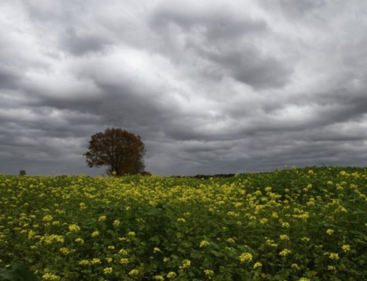 Хладна неделя, на места с превалявания  