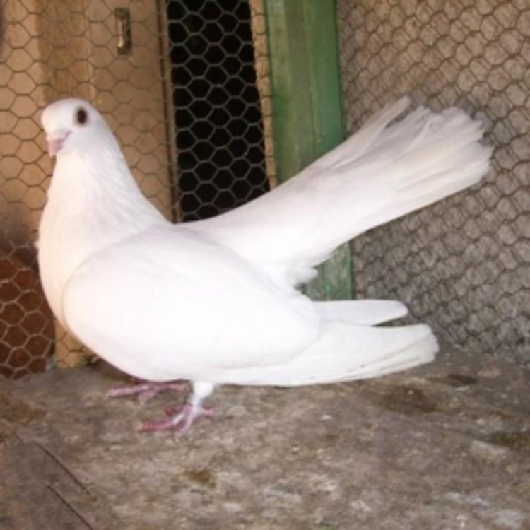 Снимката е илюстративна