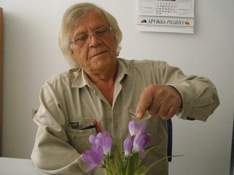 Дават пустеещи опитни полета за отглеждане на шафранови луковици