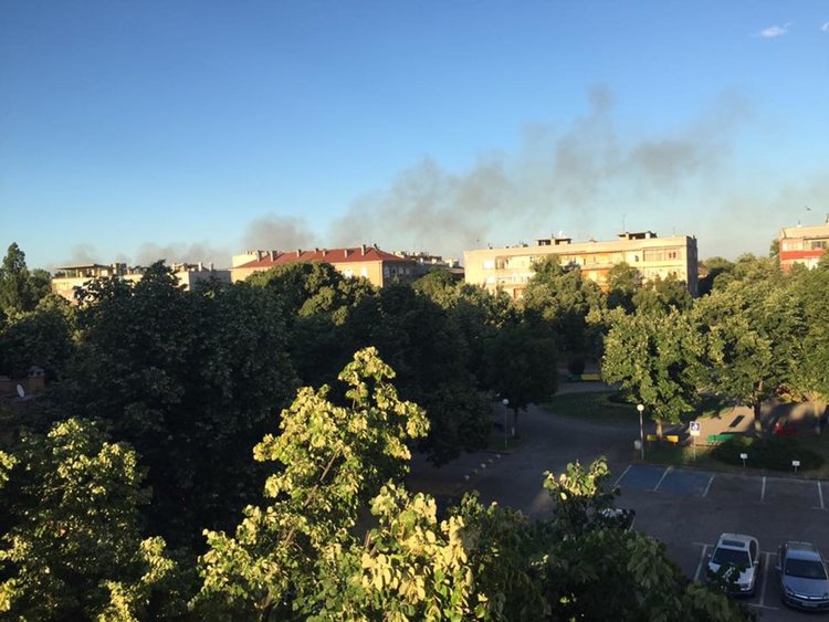 снимка Кристина Симеонова - facebook