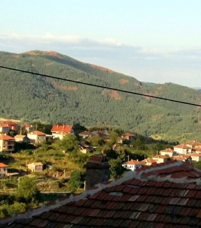 По склоновете от далече се забелязват кафявите петна на съхнещата гора