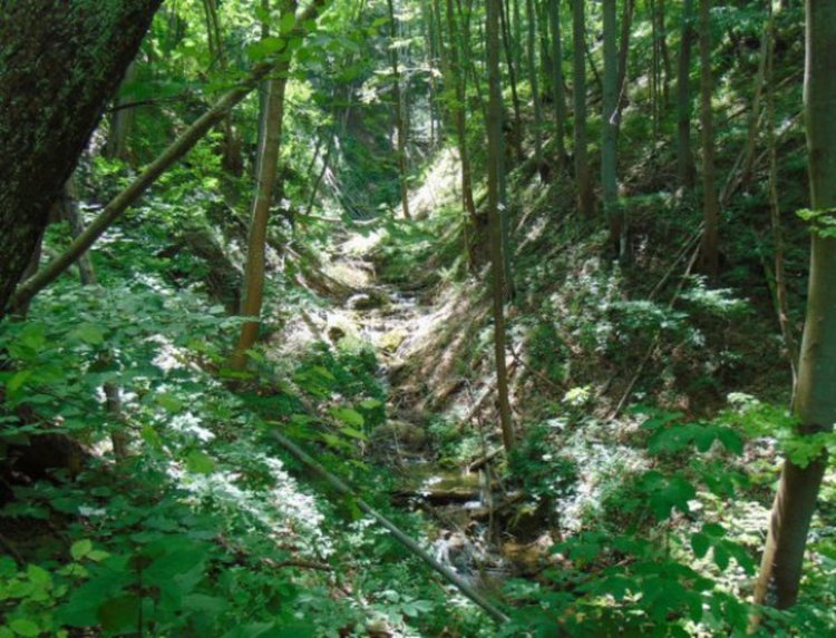 Промениха границите на три защитени зони  