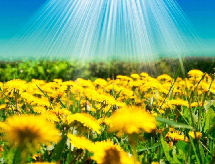 Лятото се връща, температурите се покачват  