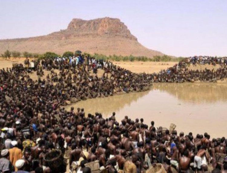 Няма да повярвате какво правят всичките тези хора (видео)