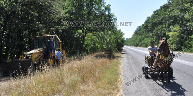 Мургав дървосекач от сивия сектор обяснява насред гората, че отива за риба