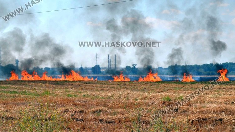 Пожар на метри от жилищен квартал в Димитровград