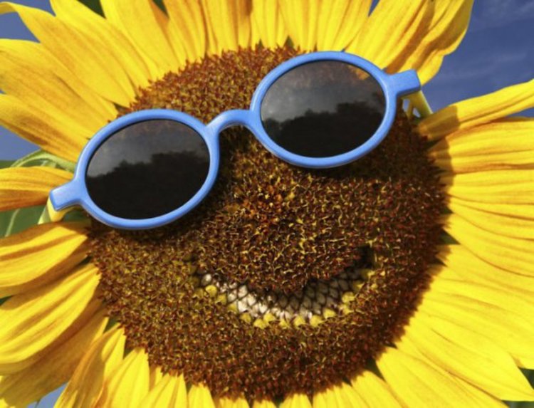 Жега до 37 градуса, жълт код в цялата страна