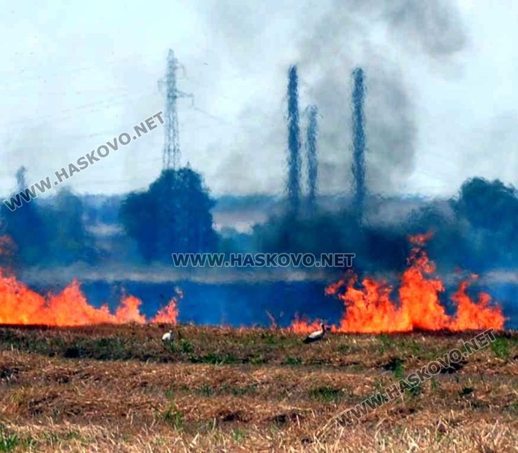 Пожар на метри от жилищен квартал в Димитровград