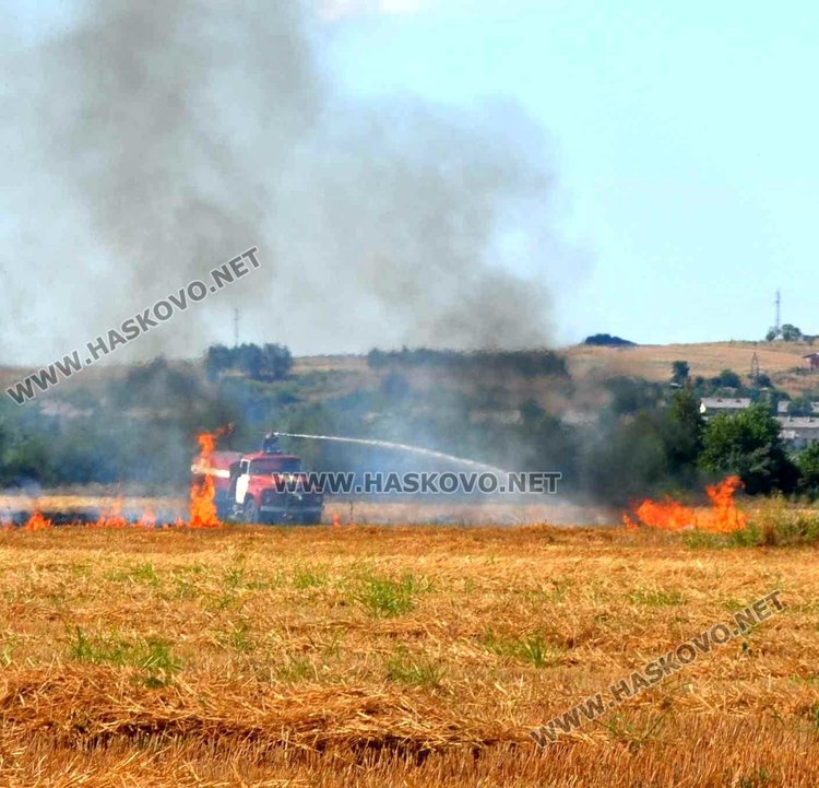 Пожар на метри от жилищен квартал в Димитровград