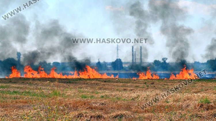Пожар на метри от жилищен квартал в Димитровград